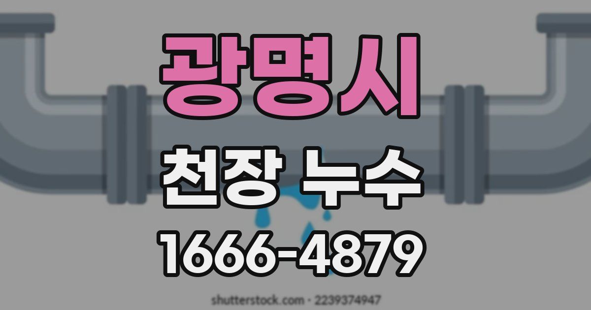 광명시 천장 누수