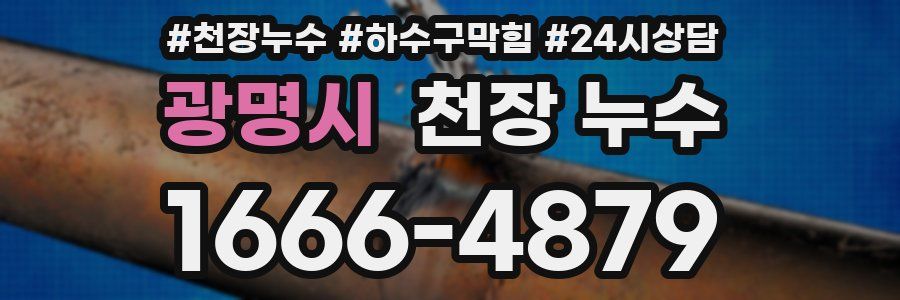 광명시 천장 누수