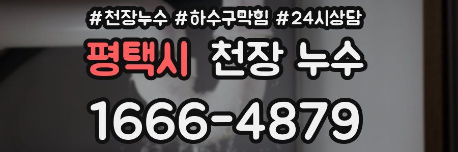 평택시 천장 누수