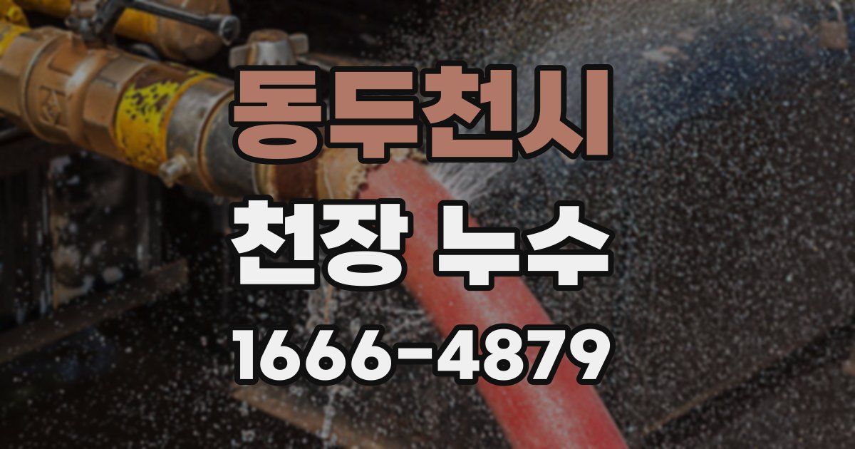 동두천시 천장 누수