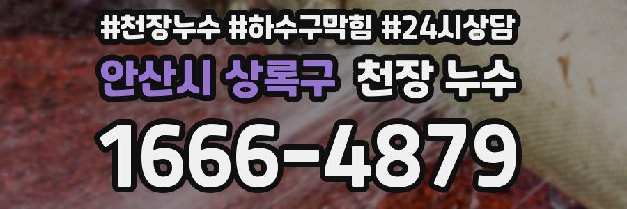 안산시 상록구 천장 누수