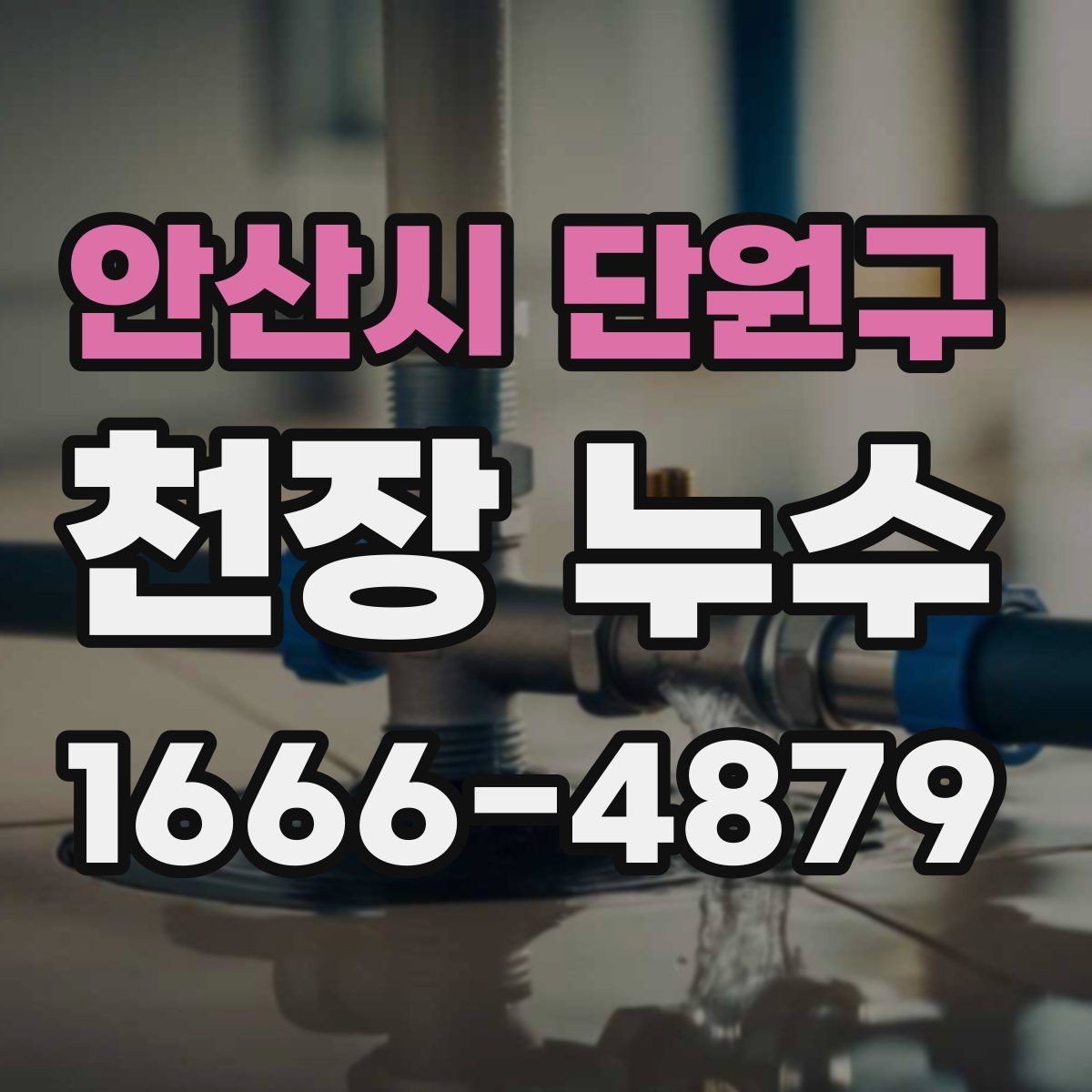 안산시 단원구 천장 누수