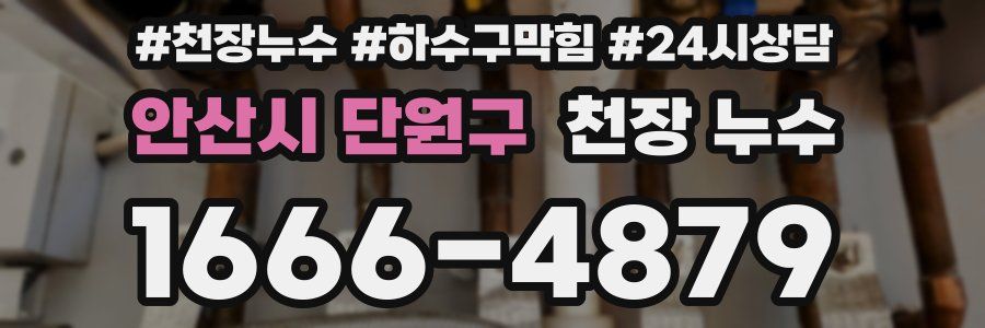 안산시 단원구 천장 누수