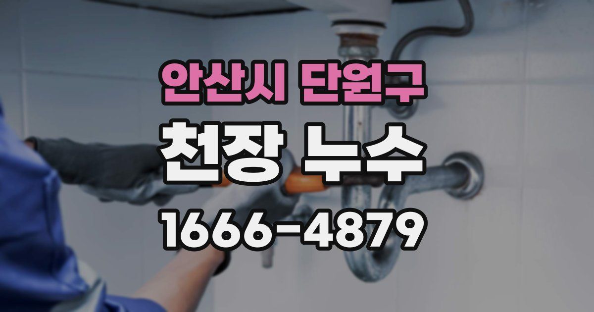 안산시 단원구 천장 누수