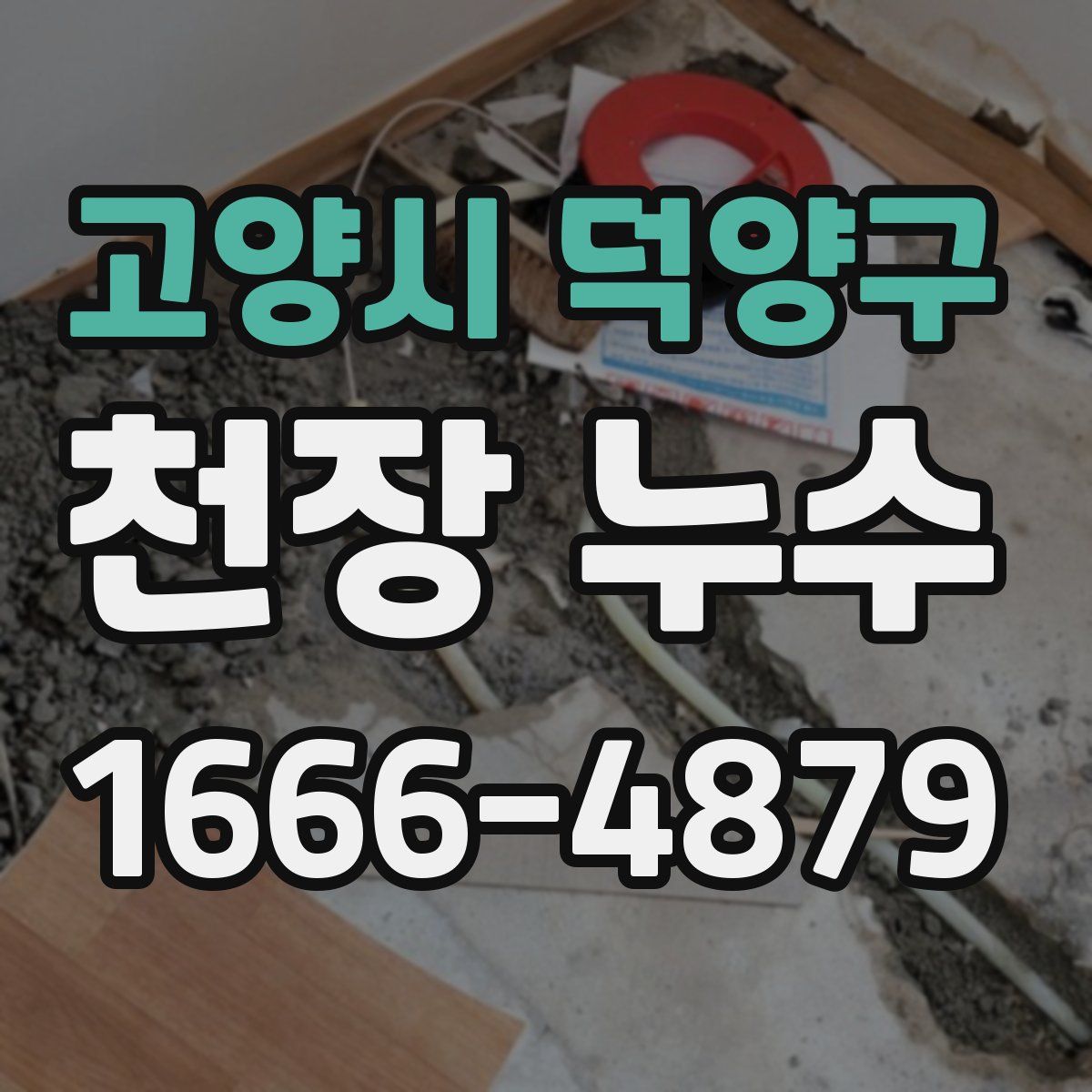 고양시 덕양구 천장 누수