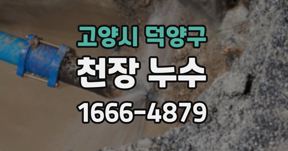 고양시 덕양구 천장 누수