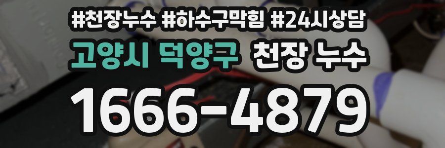 고양시 덕양구 천장 누수