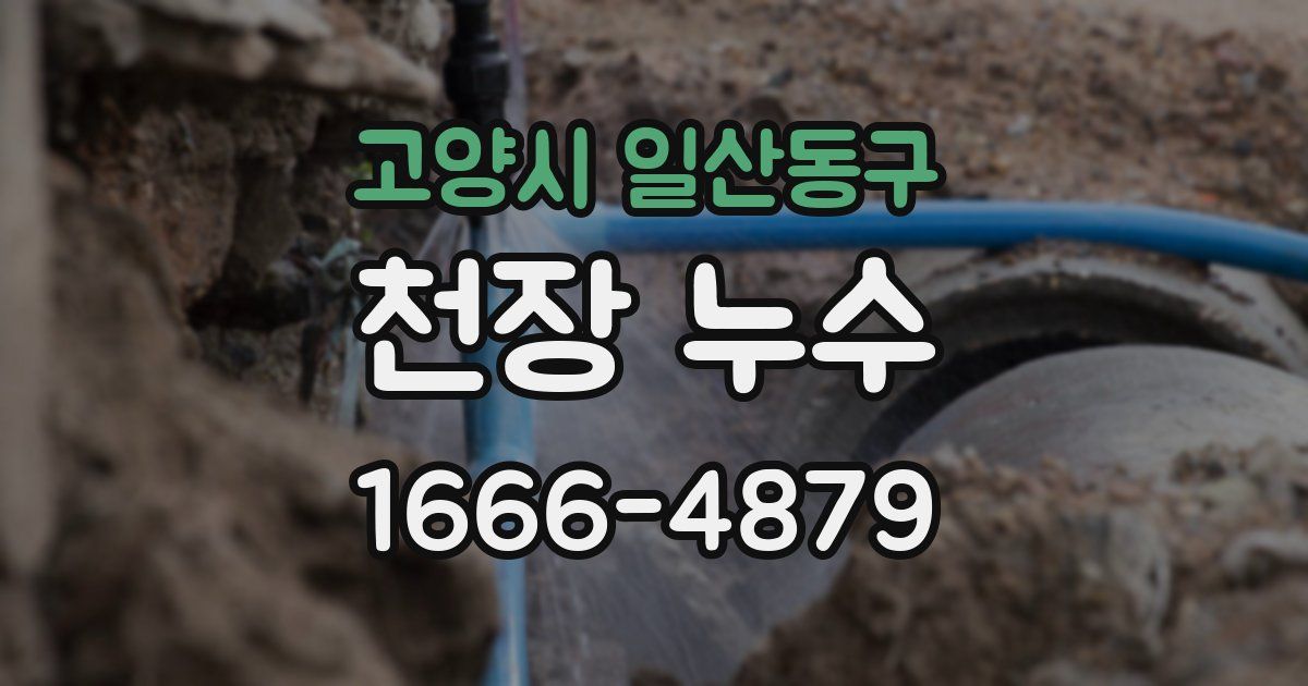 고양시 일산동구 천장 누수