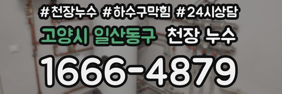 고양시 일산동구 천장 누수