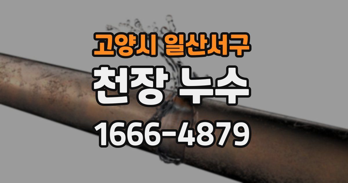 고양시 일산서구 천장 누수