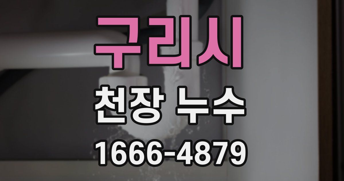 구리시 천장 누수