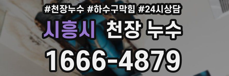 시흥시 천장 누수