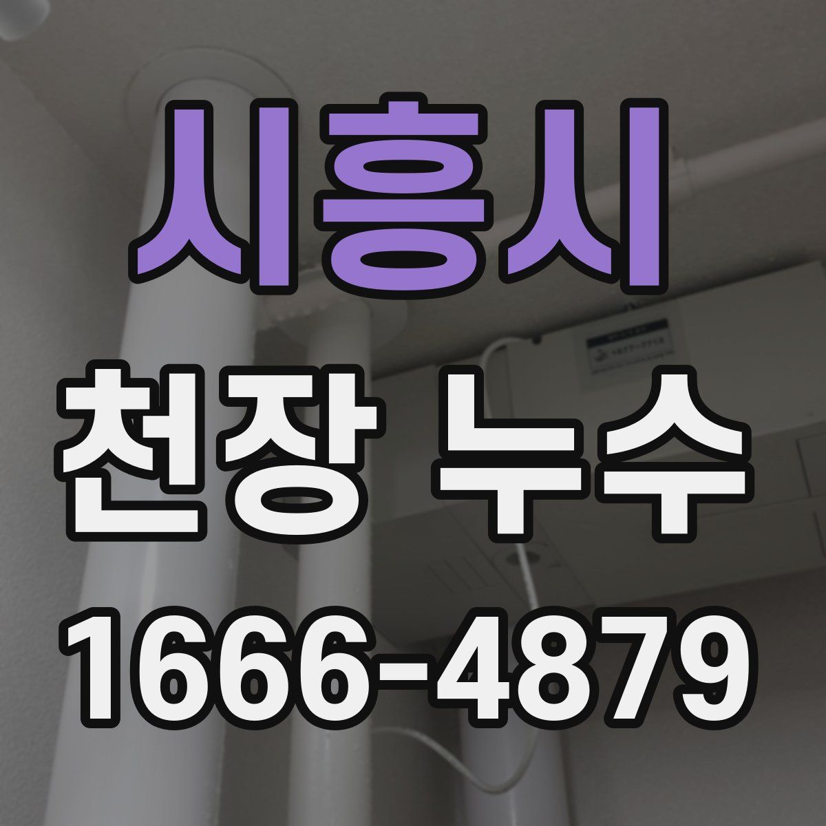 시흥시 천장 누수