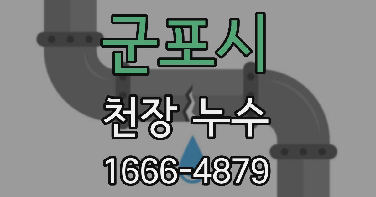 군포시 천장 누수