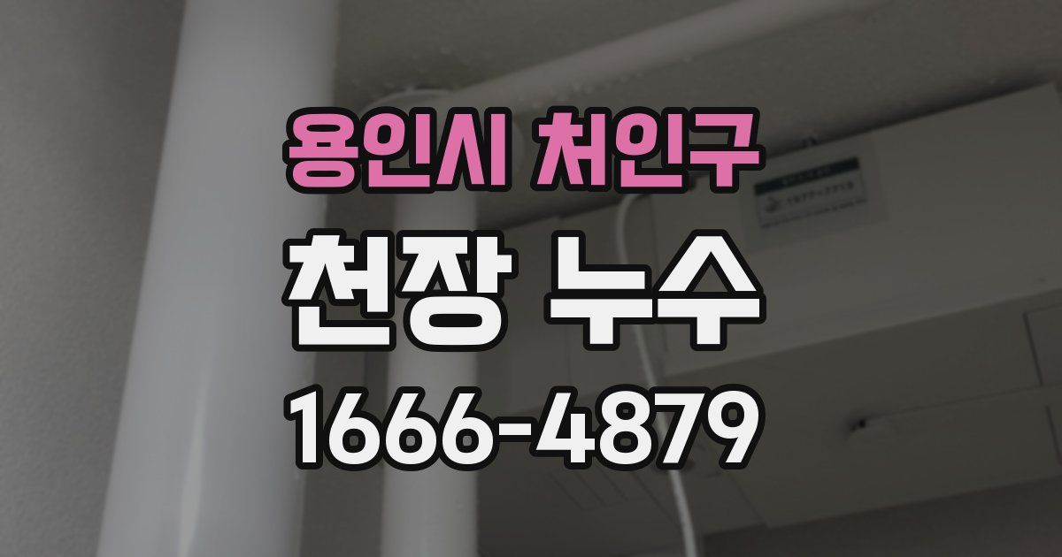 용인시 처인구 천장 누수