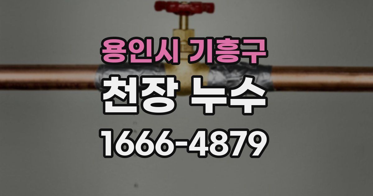 용인시 기흥구 천장 누수