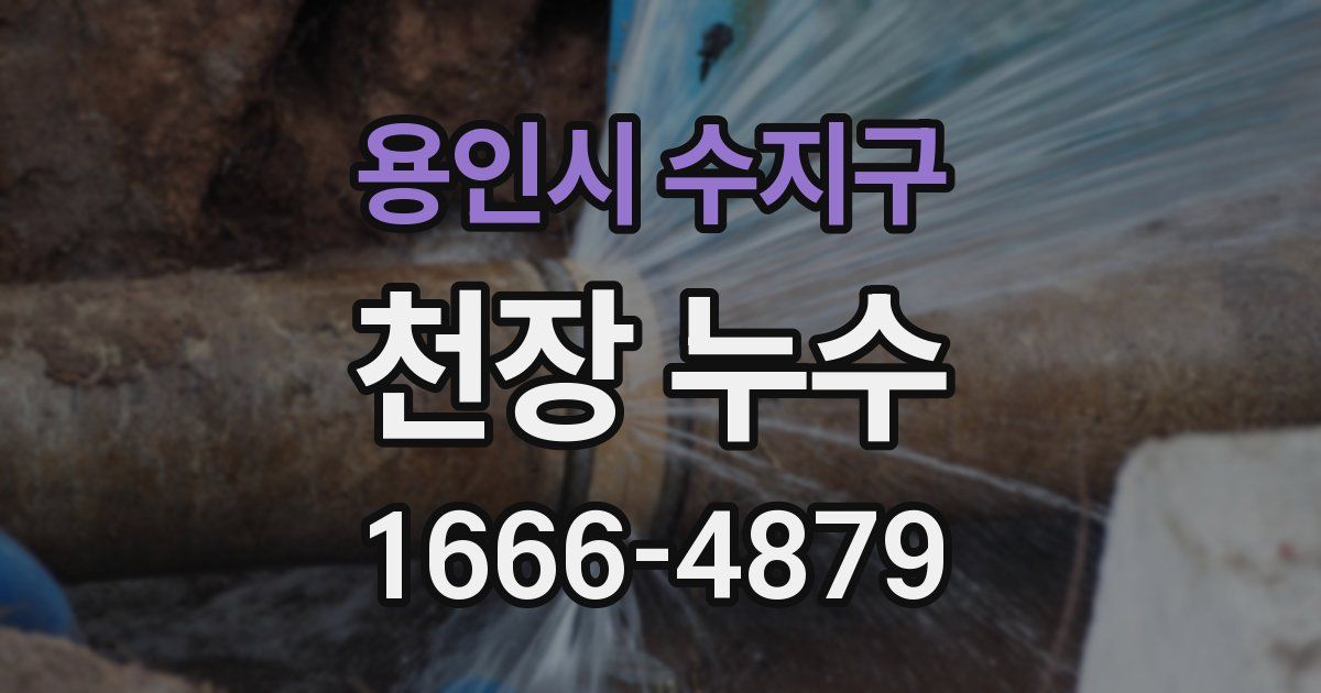 용인시 수지구 천장 누수