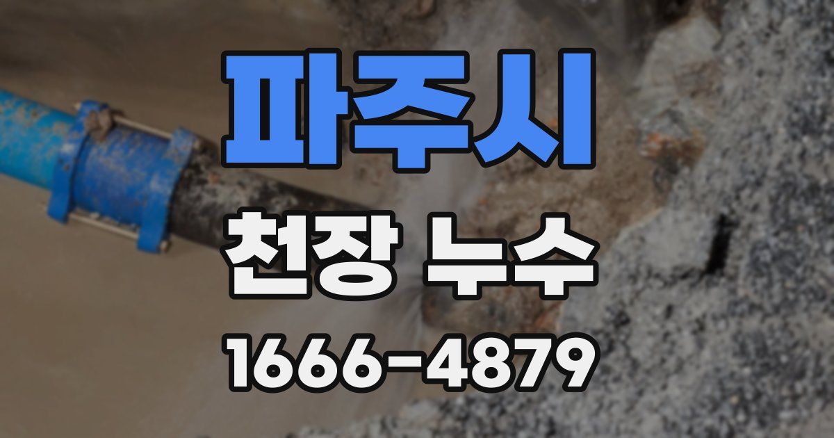 파주시 천장 누수