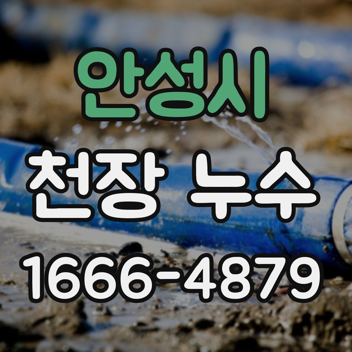 안성시 천장 누수