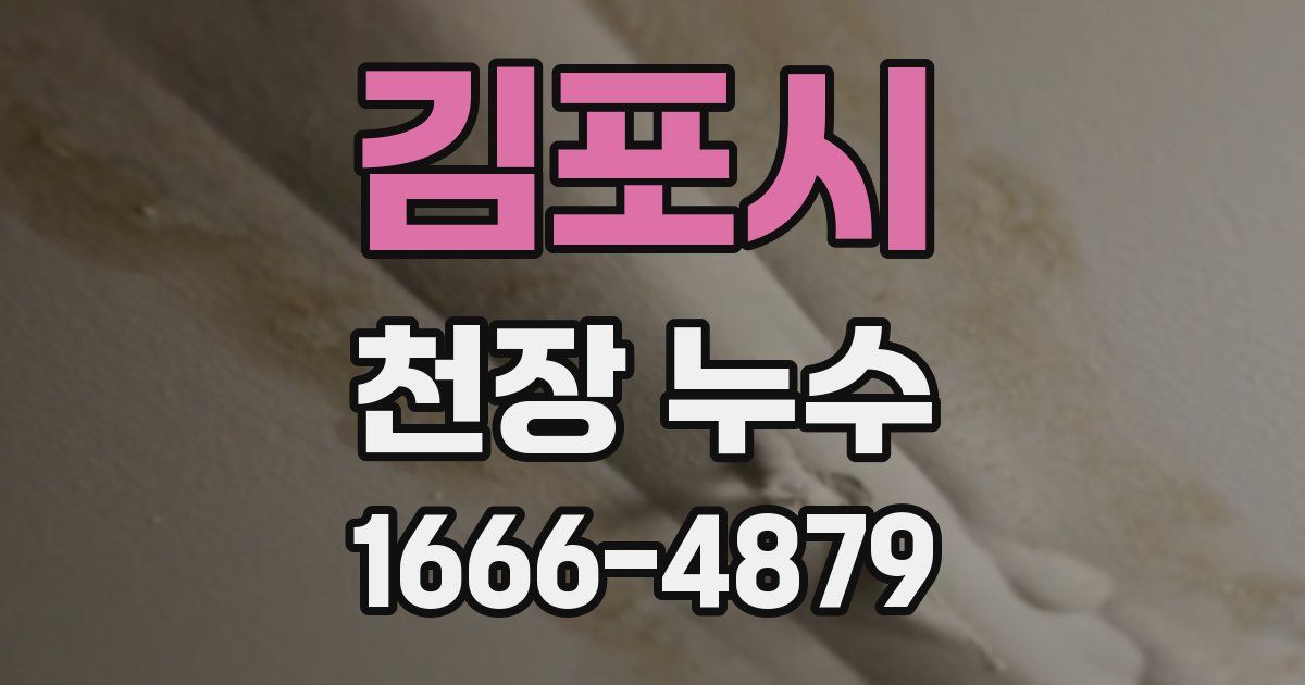 김포시 천장 누수