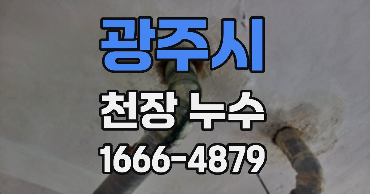 광주시 천장 누수