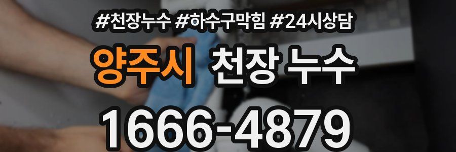 양주시 천장 누수