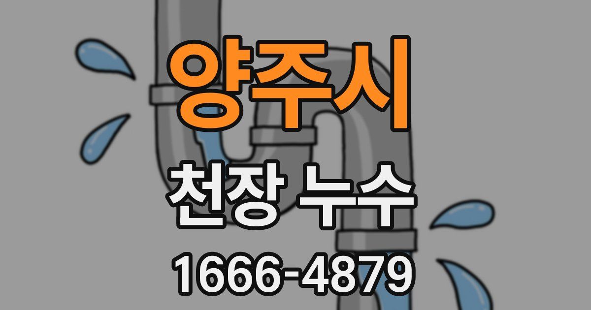 양주시 천장 누수