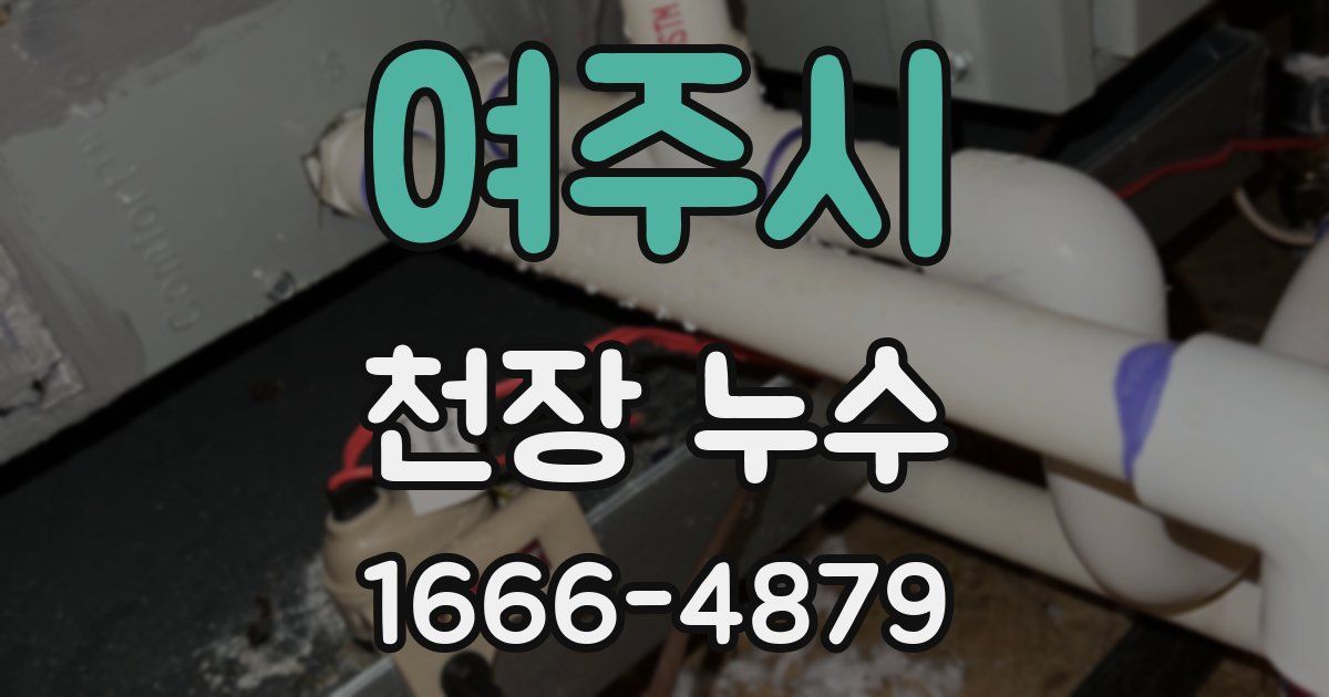 여주시 천장 누수