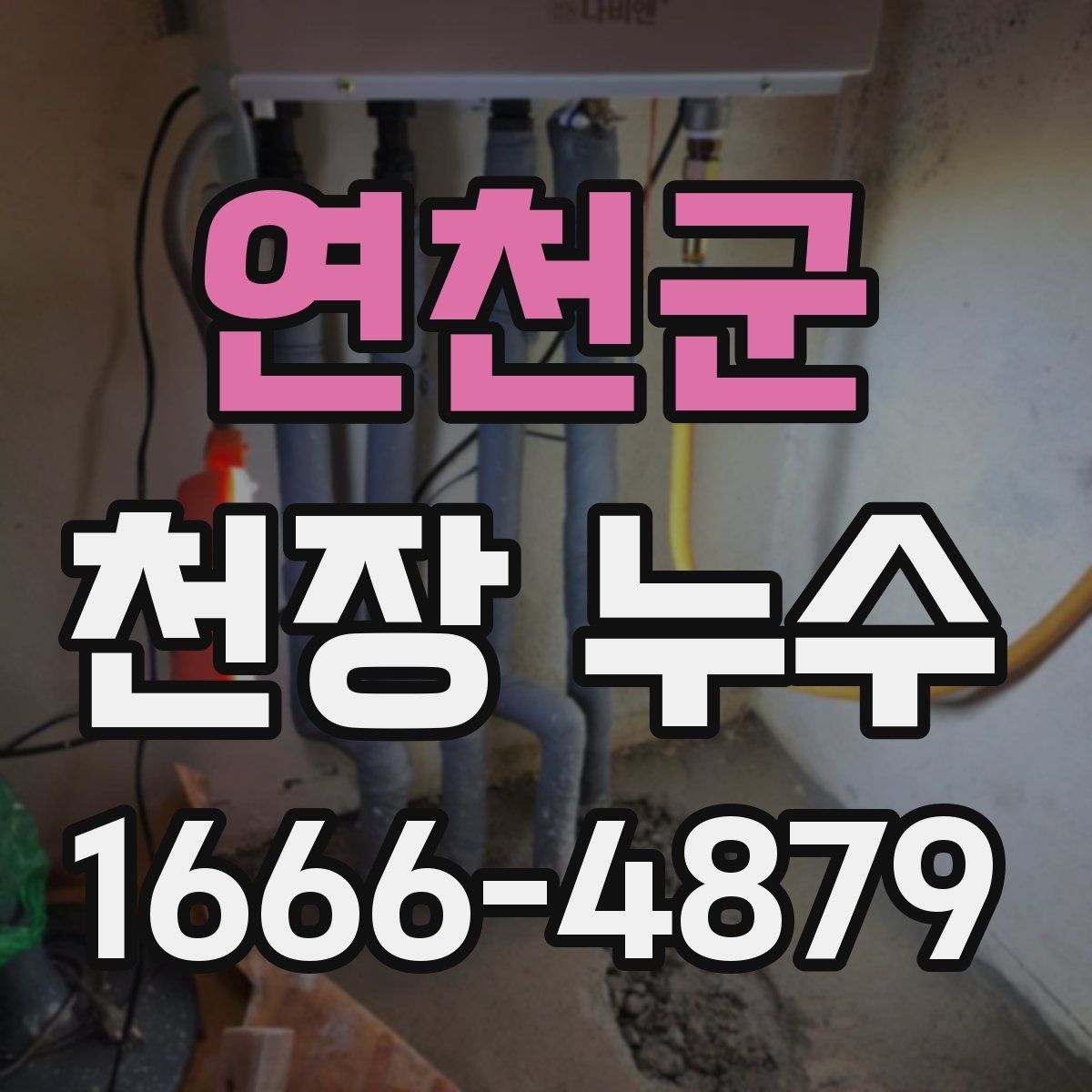 연천군 천장 누수