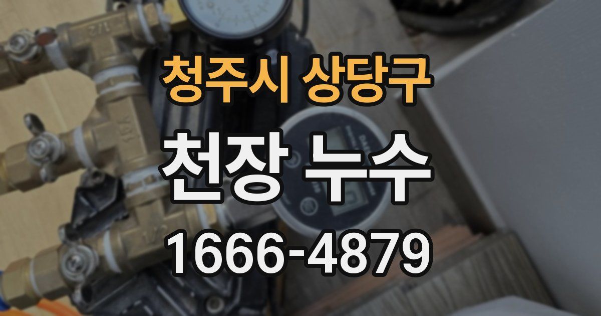 청주시 상당구 천장 누수