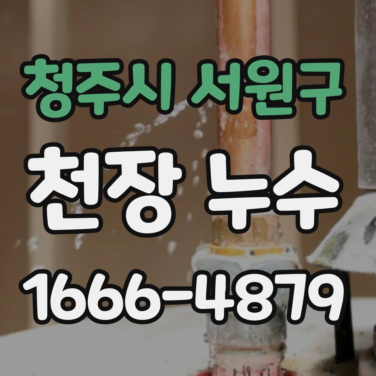 청주시 서원구 천장 누수