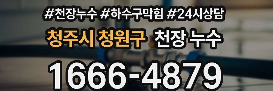 청주시 청원구 천장 누수