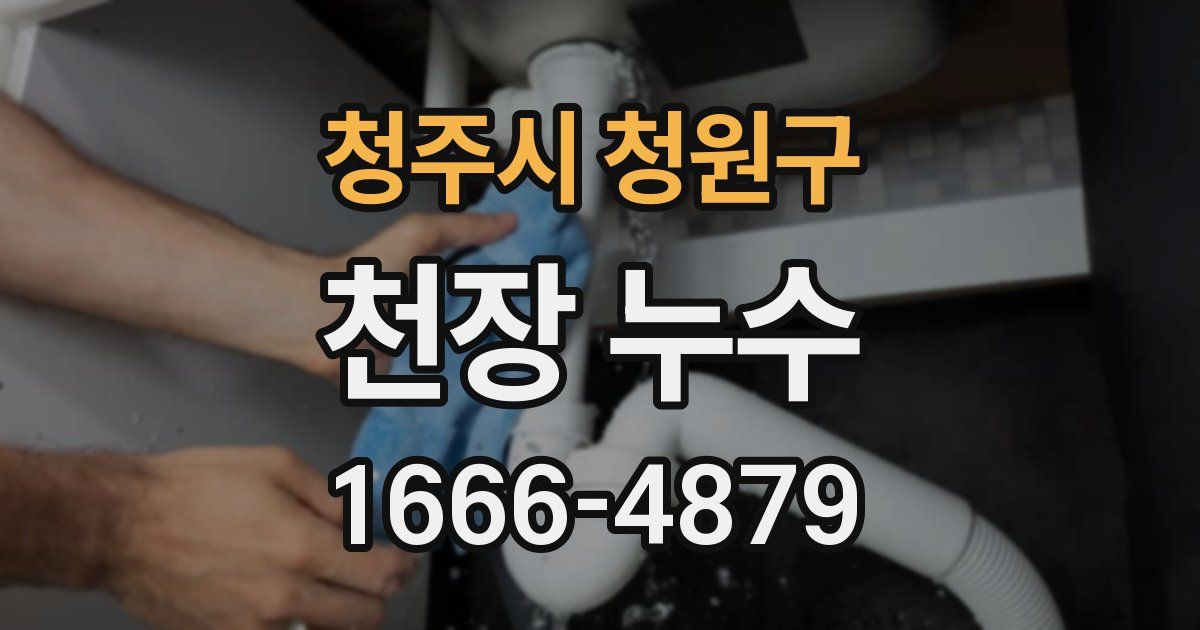 청주시 청원구 천장 누수