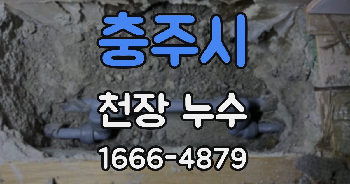 충주시 천장 누수