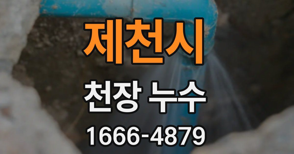 제천시 천장 누수