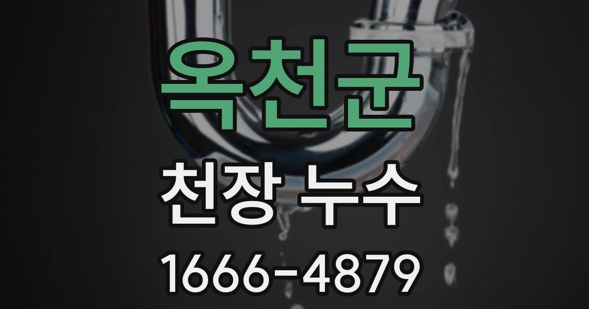 옥천군 천장 누수