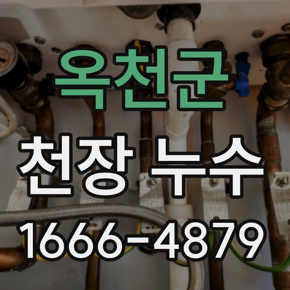 옥천군 천장 누수