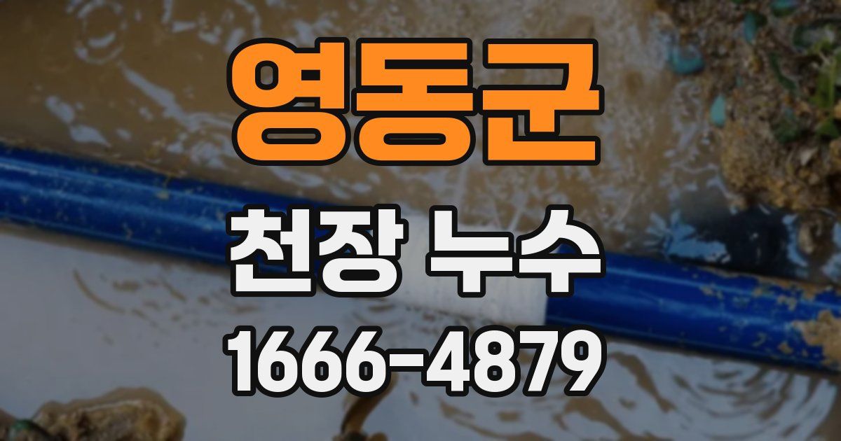 영동군 천장 누수