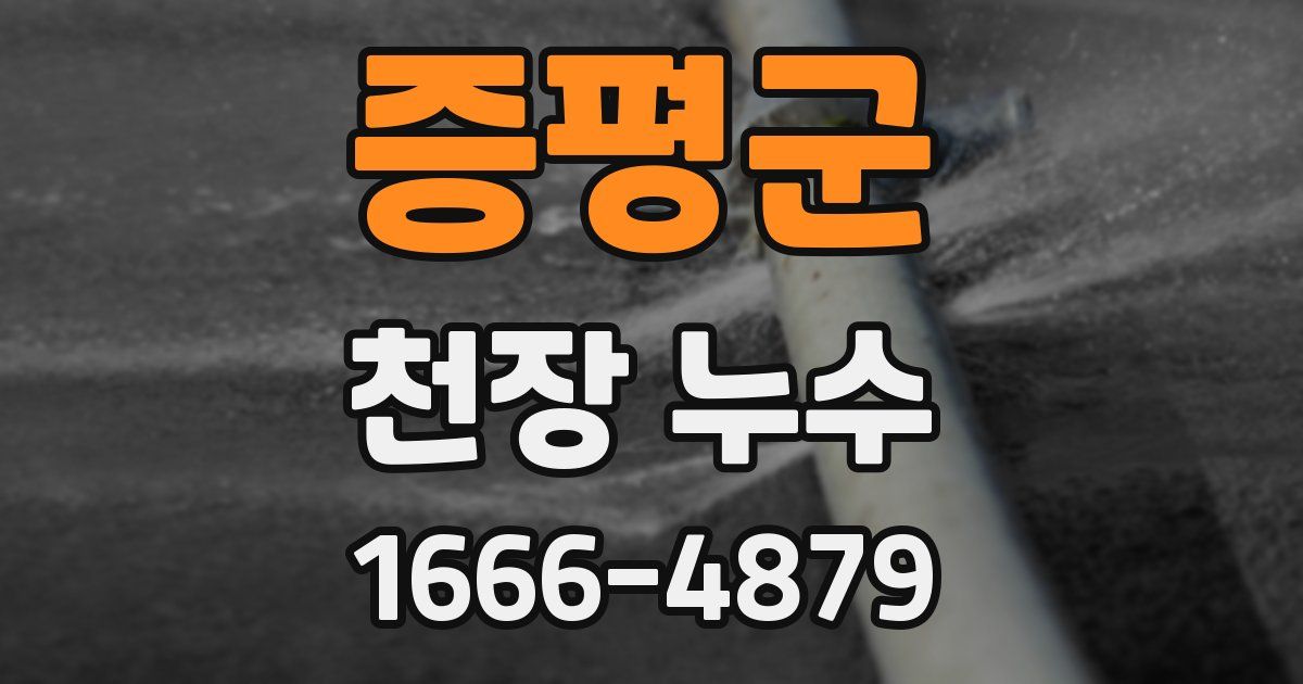 증평군 천장 누수