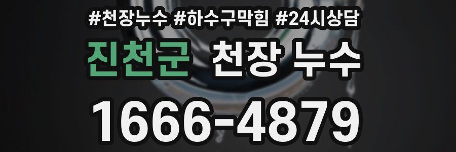 진천군 천장 누수