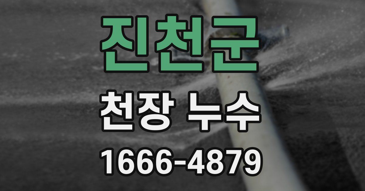 진천군 천장 누수