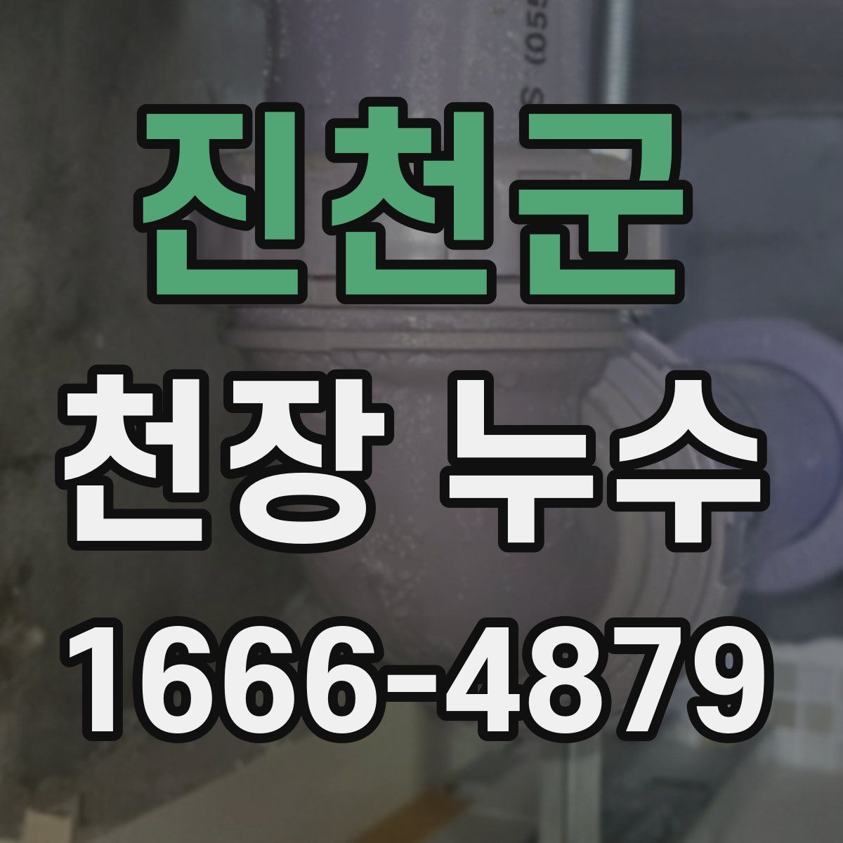 진천군 천장 누수