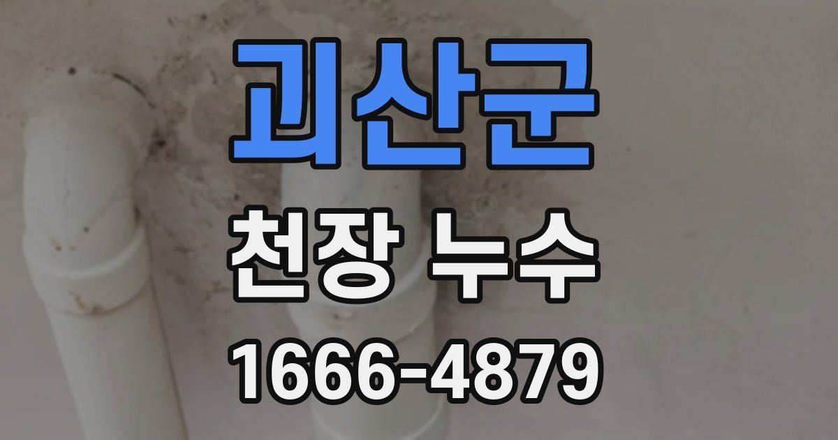 괴산군 천장 누수