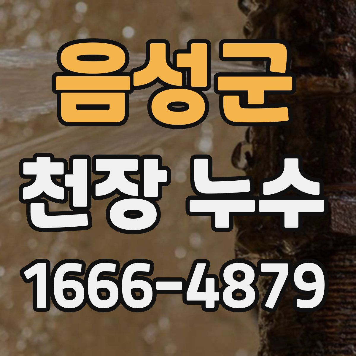 음성군 천장 누수