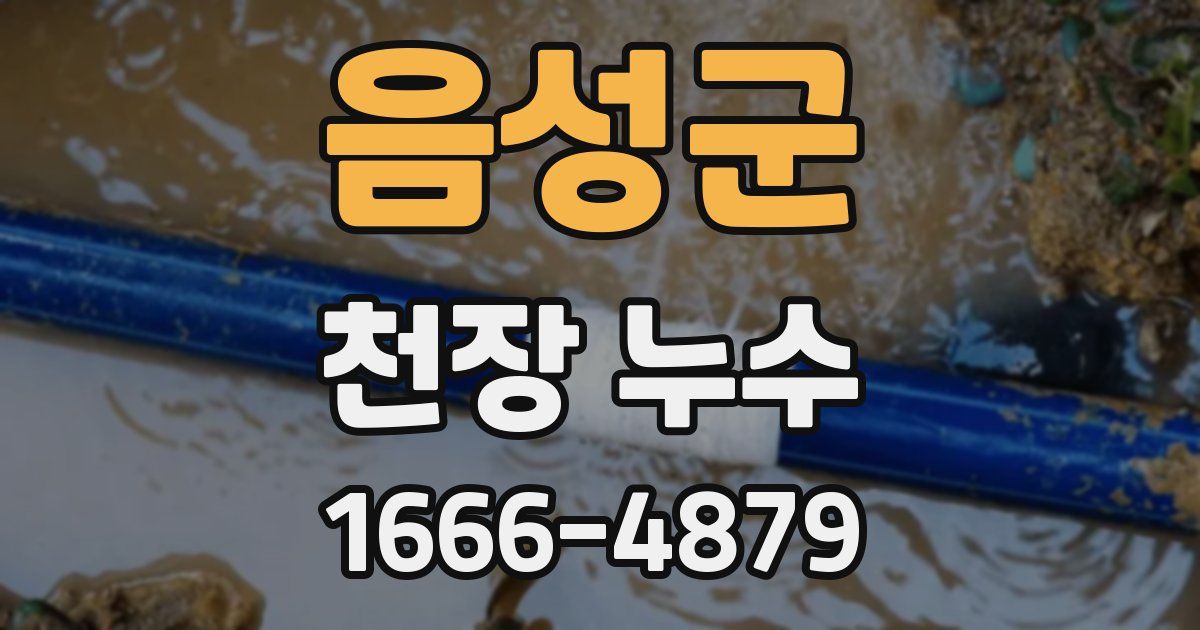 음성군 천장 누수