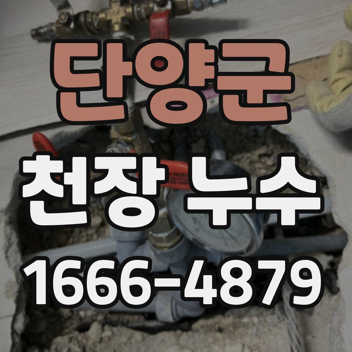 단양군 천장 누수