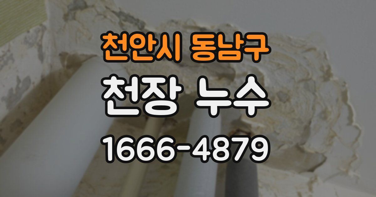 천안시 동남구 천장 누수