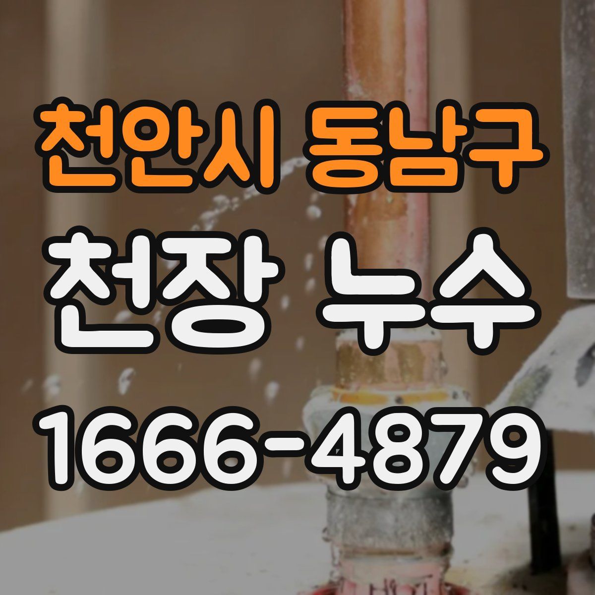 천안시 동남구 천장 누수