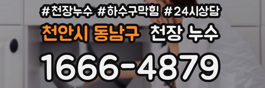 천안시 동남구 천장 누수