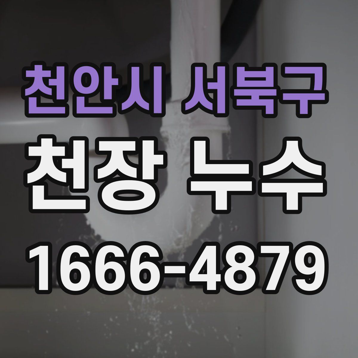 천안시 서북구 천장 누수